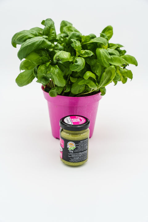 Pesto