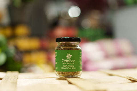 Finocchio selvatico semi