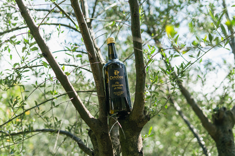 Olio Extravergine di oliva