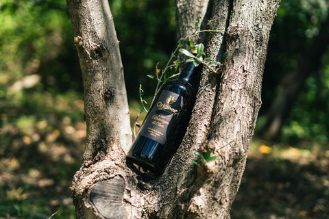 Olio Extravergine di oliva