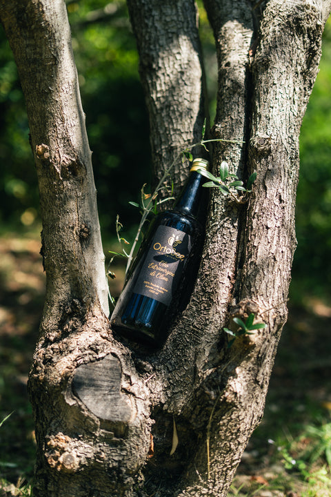 Olio Extravergine di oliva