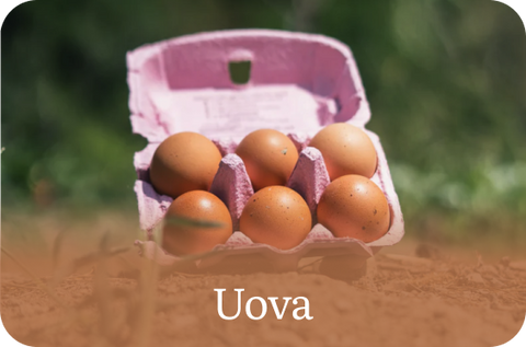 Uova