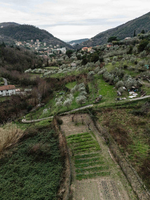 Prodotti Locali, Sapori Autentici Direttamente dalla Natura alla Tua Tavola